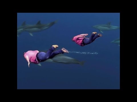 Shooting Stars Compilation - Funniest Shooting Star memes!