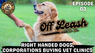 Right Handed Dogs, Corporations Buying Clinics