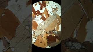 2162-27 | Biotite (PPL)