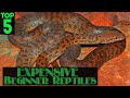 Top 5 Best EXPENSIVE Beginner Pet Reptiles!