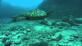 Dive 20120910