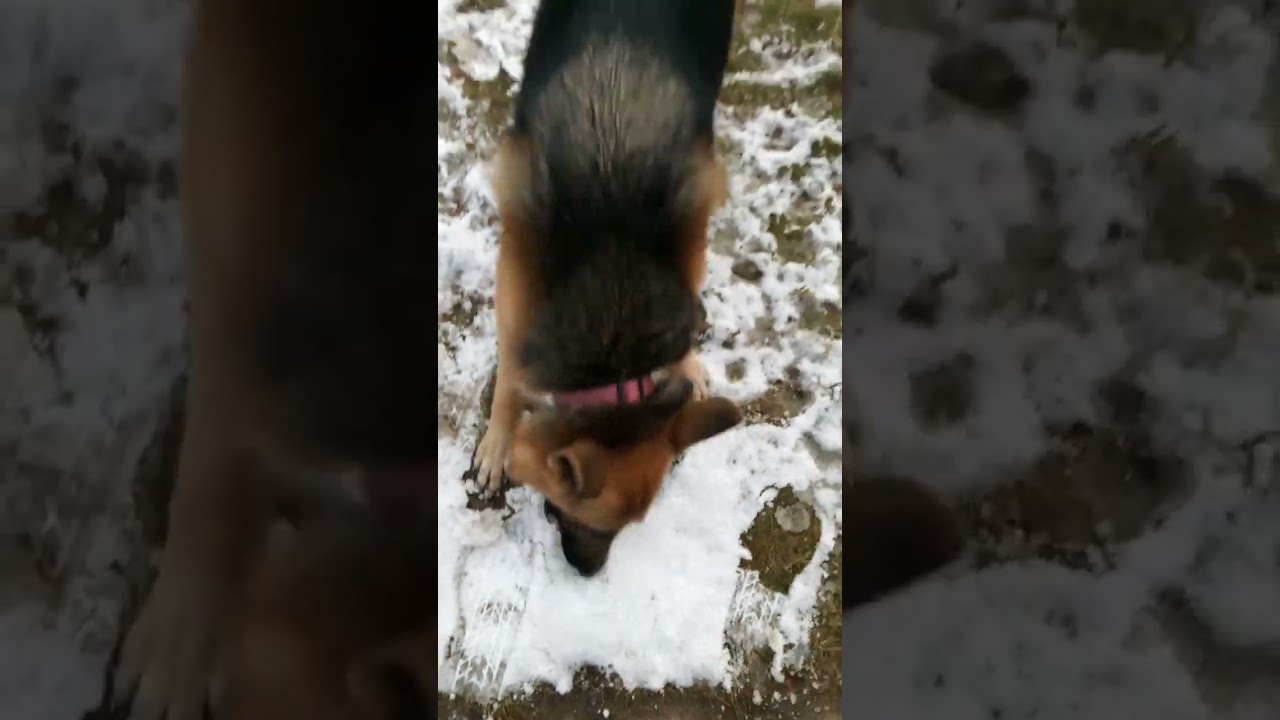 I am God stillness powerfully shifts surroundings to vibrations aligned with energetic resonance