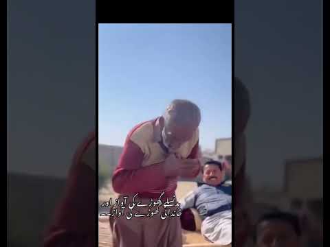 بد نسلے گھوڑے اور نسلی گھوڑے کی آواز