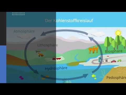 Video: Wie hat sich der Kohlenstoffkreislauf im Laufe der Zeit verändert?