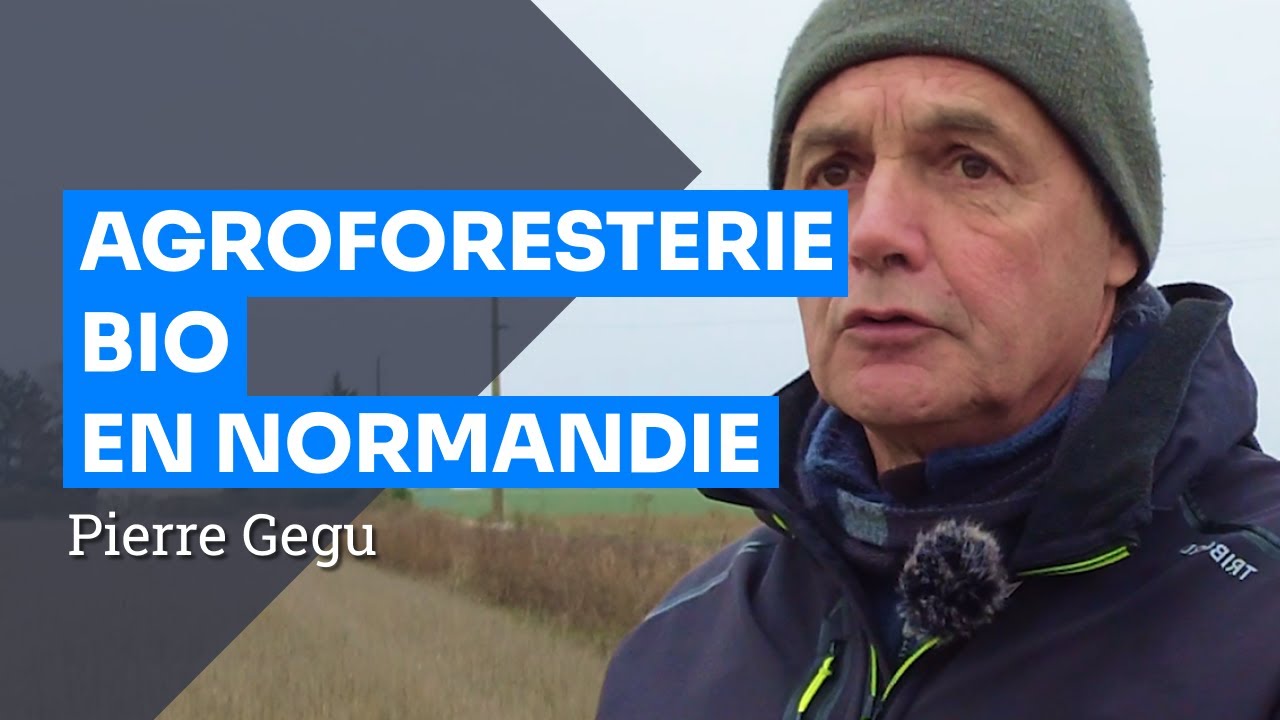 Intégrer les arbres dans la ferme : un pari gagnant ? 20 ans d'agroforesterie chez Pierre Gégu
