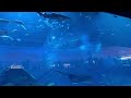 Dubai Aquarium &amp; Underwater Zoo | Dubai Mall