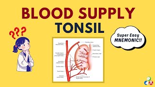 Blood supply of Tonsil - Easy MNEMONIC to Remember