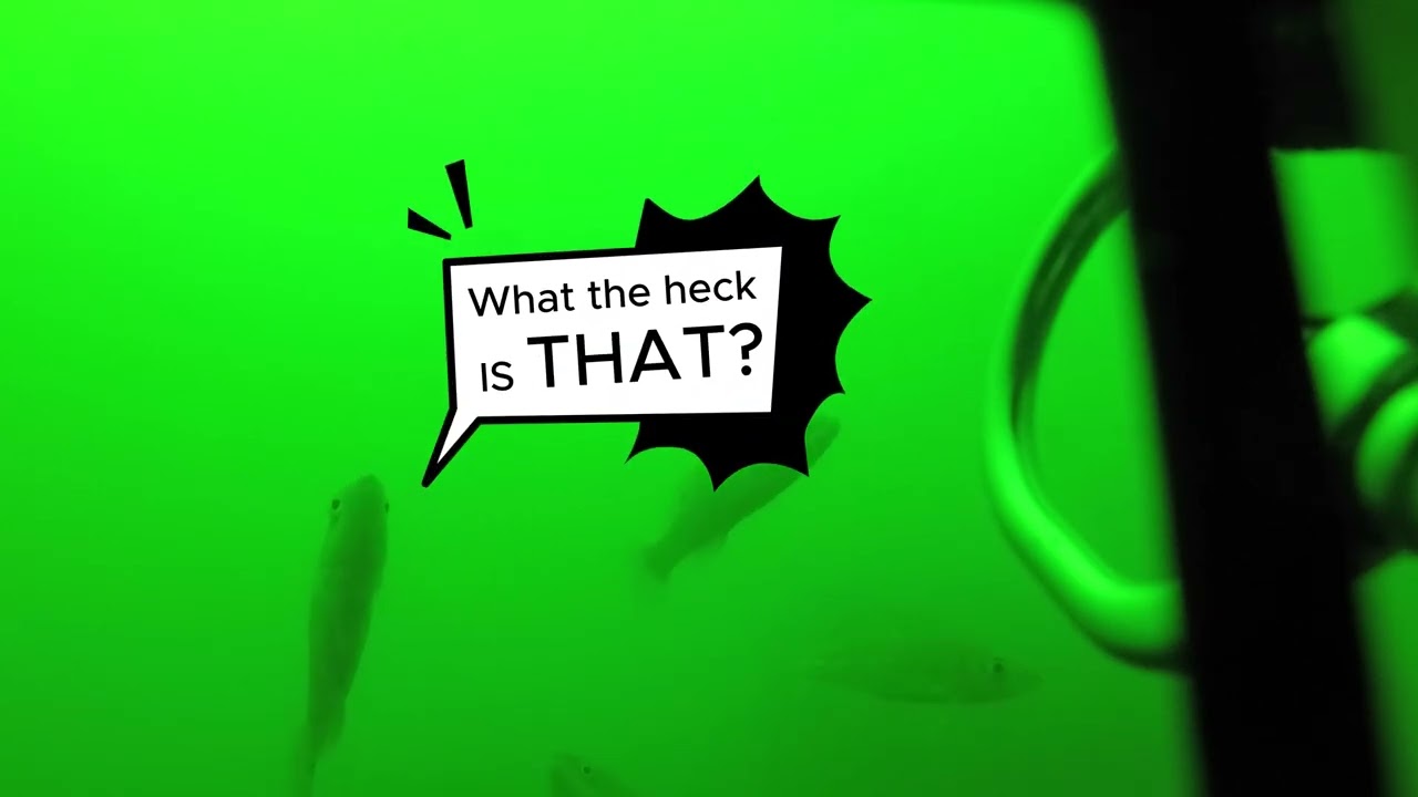 SMELTS On-Demand Fishing | Interoperable MFD & Automatic Gear Marking | 2025 Ropeless Consortium