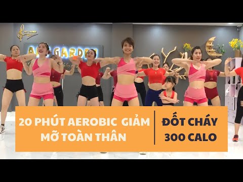 Video 20 PHÚT AEROBIC GIẢM MỠ TOÀN THÂN - ĐỐT CHÁY 300 CALO |OANH NGUYỄN - youtube