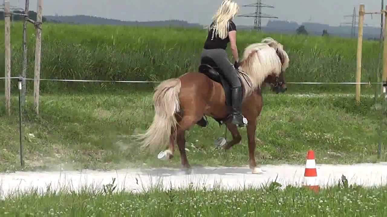 Dreki vom Wotanshof fünf Gang