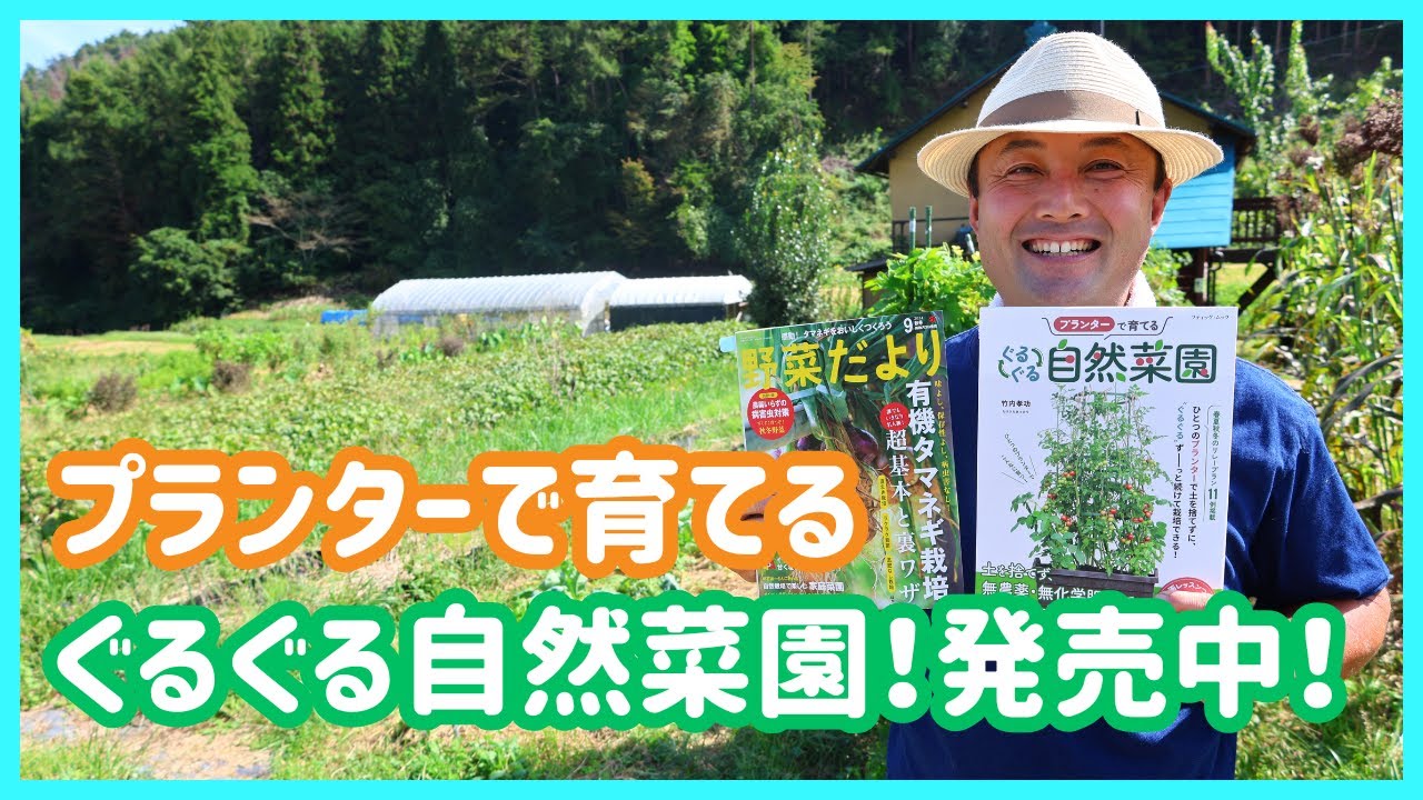 Natural Vegetable Garden in Planters] Grow your own natural