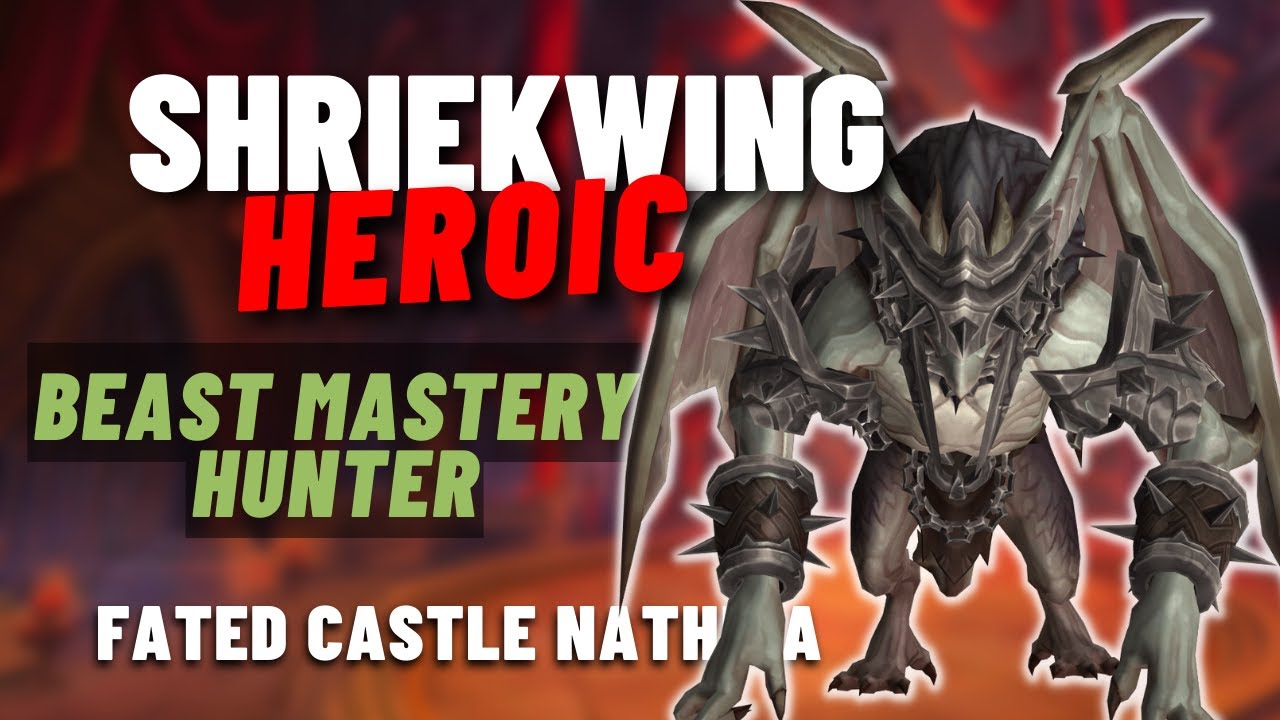 Shriekwing Fated Heroic Castle Nathria BM Hunter PoV | Shadowlands Season 4
