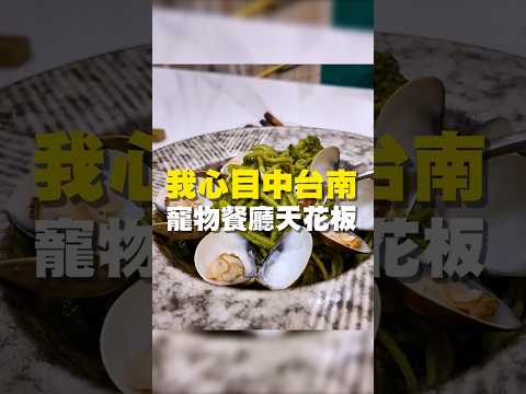 我心目中台南 寵物餐廳天花板 #台南美食 #在地美食 #美食 #美食推薦 #旅遊 #fyp #food #taiwanfood #streetfood #寵物餐廳 #寵物咖啡廳 #義大利麵 #披薩