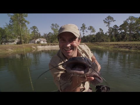 Inédits (Bande-annonce) - Mordu de la Pêche