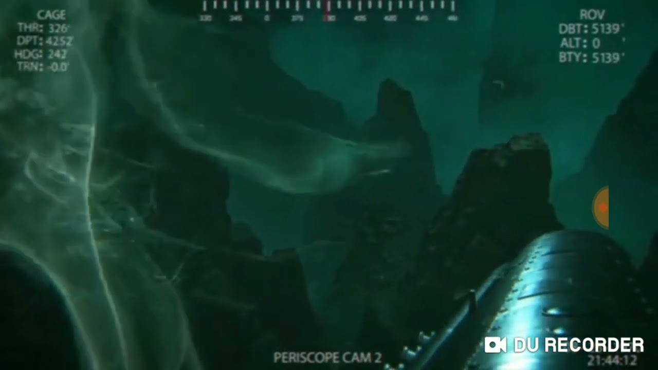 Psalms 104:26 There go the ships: there is that leviathan, whom thou hast made to play therein.