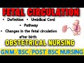 Fetal Circulation (OBG)   #nursinglecture # obg