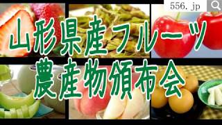 山形県産のフルーツ＆農産物頒布会　「12ヶ月」果物コース定期購入 ※送料は別途12回分加算されます※