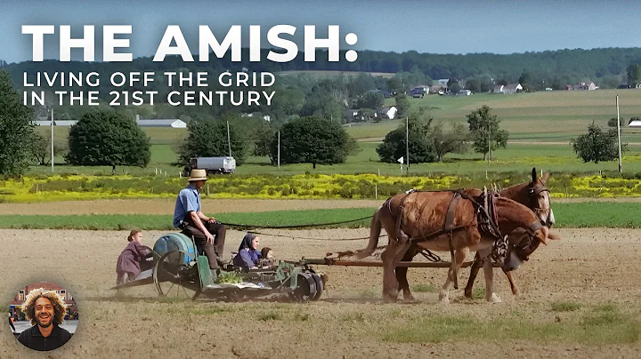 Amish Lifestyle: Exploring The Unknown USA | No Cars, No Electricity, Just Buggies and Horses - DayDayNews