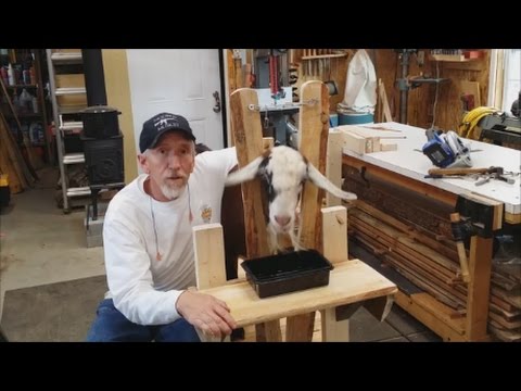 Goat Milking Stand~ DIY~ Step by step instructions - YouTube