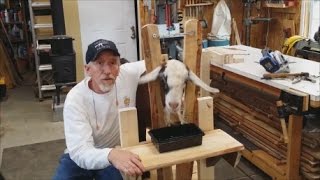 Goat Milking Stand~ DIY~ Step by step instructions