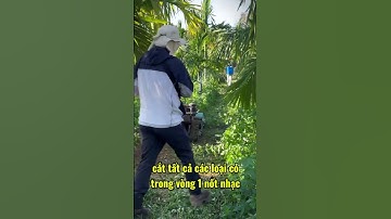 robot cắt cỏ điều khiển từ xa Yuchai 25HP/ cắt sạch mọi loại cỏ,trục băm rộng 1M!#maynongnghiep