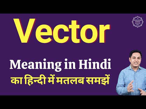 वीडियो: वेक्टर संबंध क्या हैं