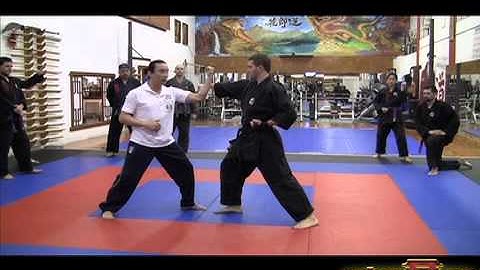 Cyberdojang.com Mastermind Class: Elbow Strike Combinations1