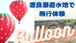 動画あり】イチゴの熱気球 風の地グンマー人が、渡良瀬遊水地で感動