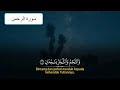 سورة الرحمن الايات 1 35 مع تكرار للحفظ