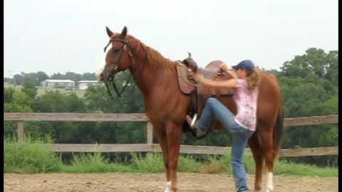 "Jack"          ***For up-to-date info, price, etc., go to our website***