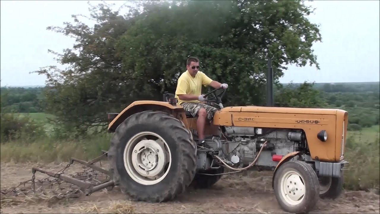 Rozsiewanie łubinu na poplon / bronowanie
