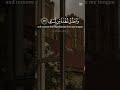 قال ربي اشرح لي صدري ❤️ تلاوة روحانية جميلة خاشعة ❤️ #قران_كريم