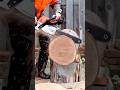 Powerful and Controlled Wood Cutting Process to Slice Large Logs Cleanly and Safely #shorts