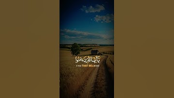 ايات من القرآن الكريم 😌 #الرحمن #اكسبلور #المصحف #قرآن #دويتو #راحة_نفسية