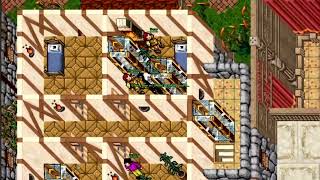 ONLY PUSH TIBIA (SHORT VIDEO)
