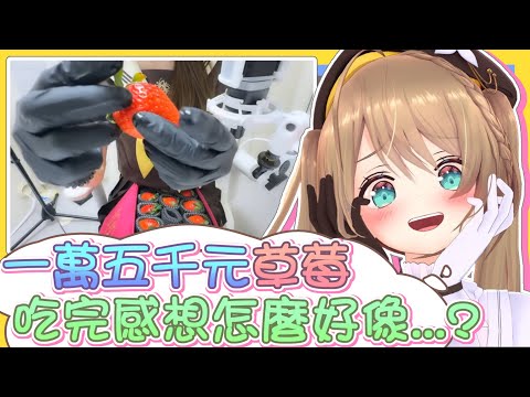 【vtbBBQ】少女心代表－草莓閃亮登場！小丸品嘗最高級的水果，相信一定也會帶有高級的味道的對吧！沒想到吃到最後怎麼好像...？小丸嘗鮮系列【中文字幕】