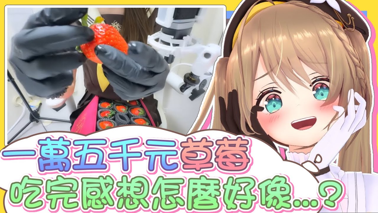 【vtbBBQ】少女心代表－草莓閃亮登場！小丸品嘗最高級的水果，相信一定也會帶有高級的味道的對吧！沒想到吃到最後怎麼好像...？小丸嘗鮮系列【中文字幕】