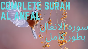 1. Complete Surah Al Anfal  سورة ٱلْأَنْفَال , د سورة ٱلْأَنْفَال تلاوت او پښتو ترجمه
