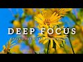 Deep Focus Music To Improve Concentration - Background Study & Work Music to Concentrate