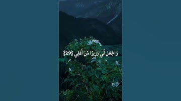 ( قَالَ رَبِّ اشْرَحْ لِي صَدْرِي )🌿 سورة طه الآيات من {25-35} القارئ رعد الكردي 🤍