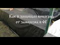 Защита винограда от заморозков в открытом грунте ОГ