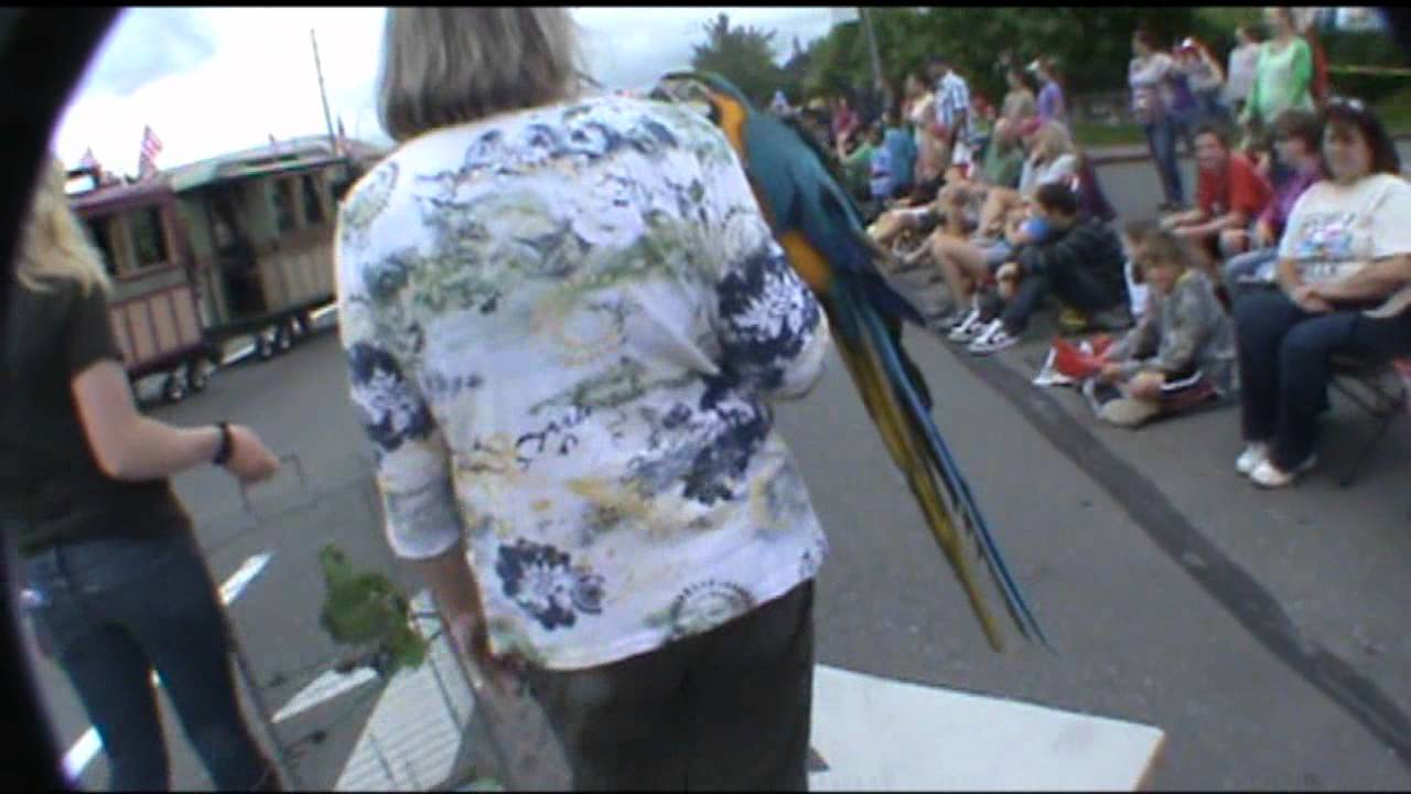 whaling days 2012 - YouTube