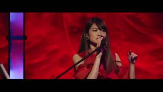 早見沙織 / Saori Hayami Live 2019 | ♪ メトロナイト / ♪ Metro Night by Bamboo Tanuki 14,988 views 3 years ago 4 minutes, 17 seconds