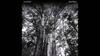 Aj Dyce - Waiting