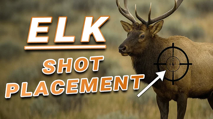 Wound LESS ELK! - Archery and Rifle Shot Placement