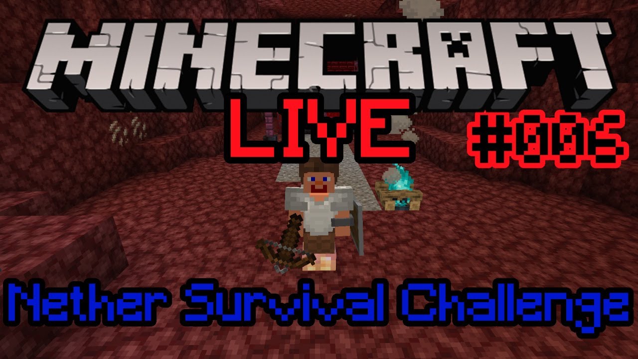 Minecraft, aber der Spawn ist im Nether - Nether Survival Challenge 