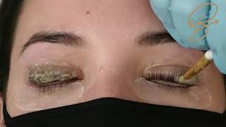 Lash Lift & Tint service in only 30 mins! Bee Pampered Accelerated Lash Lift & Tint Training Video