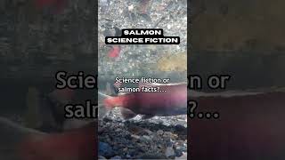 Salmon's Superpowers: Science vs. Sci-Fi #shorts #salmon #fishing #facts
