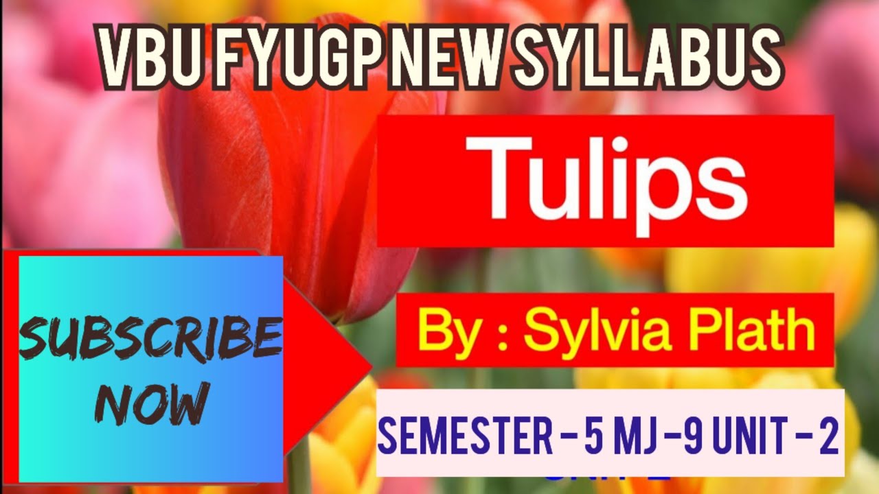 tulips-sylvia-plath-vbu-bbmku-english-honours-smester-3-hcc-v-unit-2