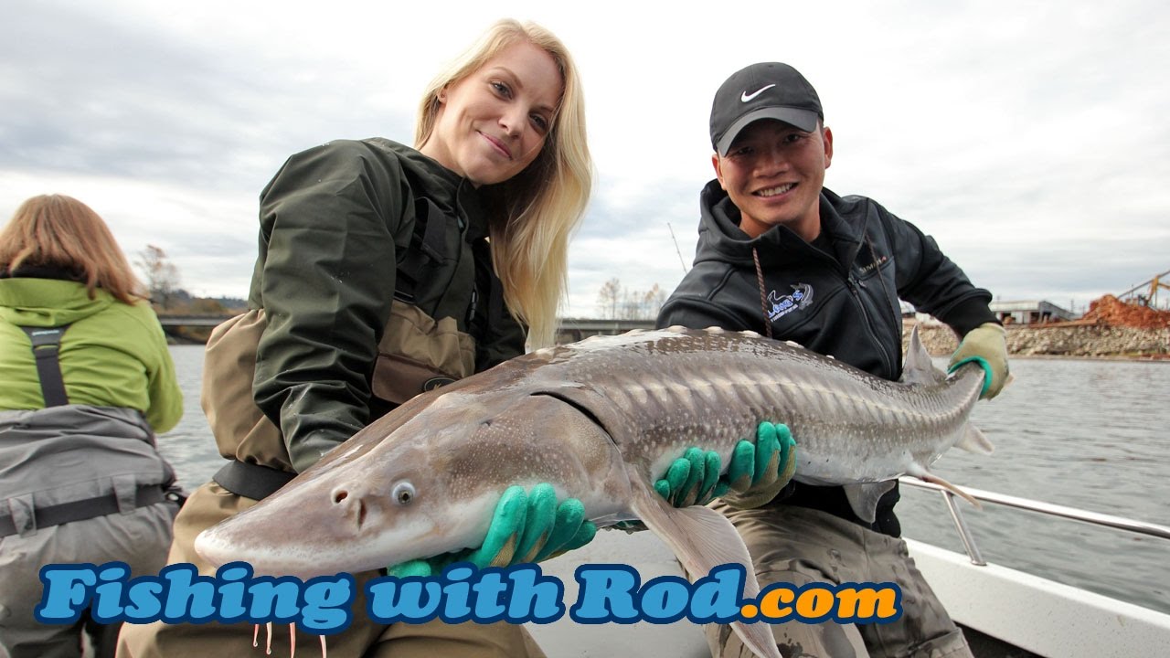 MuskieBait Adventures: Wishing upon the Orionids for a Lake Sturgeon